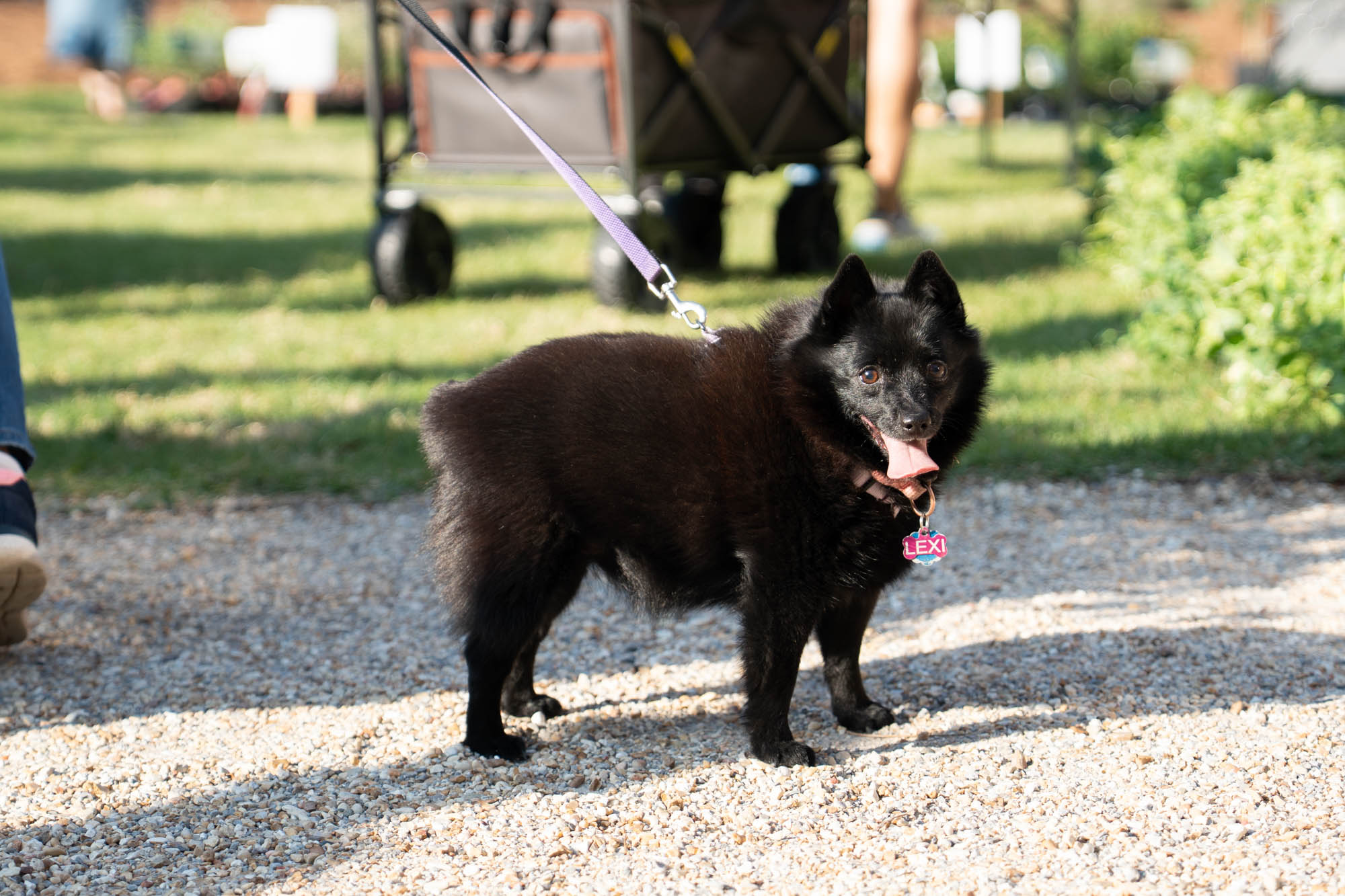PHOTOS: LSU AgCenter Spring Garden Festival