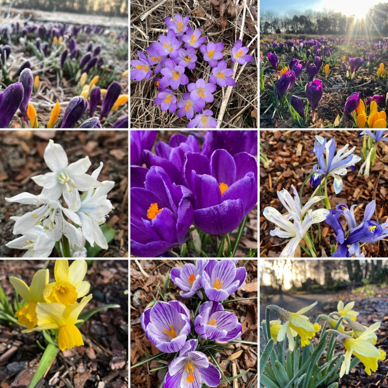 Delaware Botanic Gardens kicks off eighth season March 19 Delaware Botanic Gardens kicks off eighth season March 19