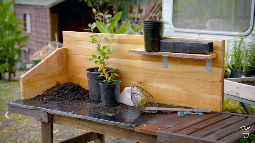 BBQ to Bench – Gardening Australia BBQ to Bench - Gardening Australia