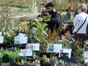 Sugnall Walled Garden Spring Plant Hunters Fair takes place on Sunday 29th March