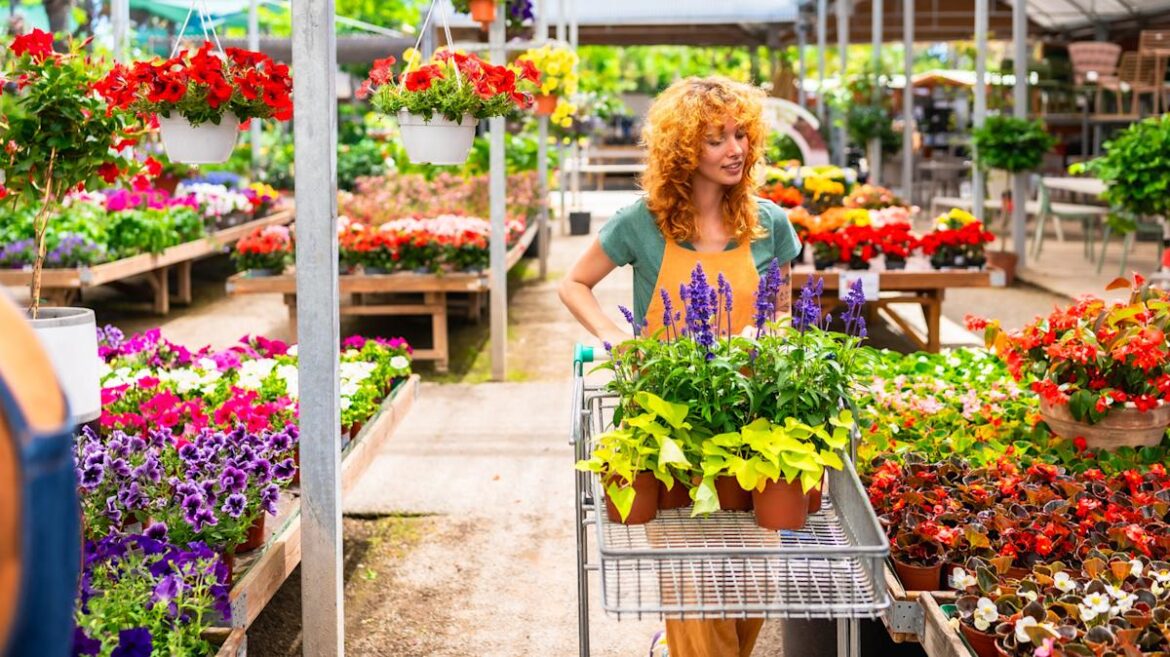 These 12 Plants From Garden Centers May Look Pretty, But Think Twice Before Buying Hunker