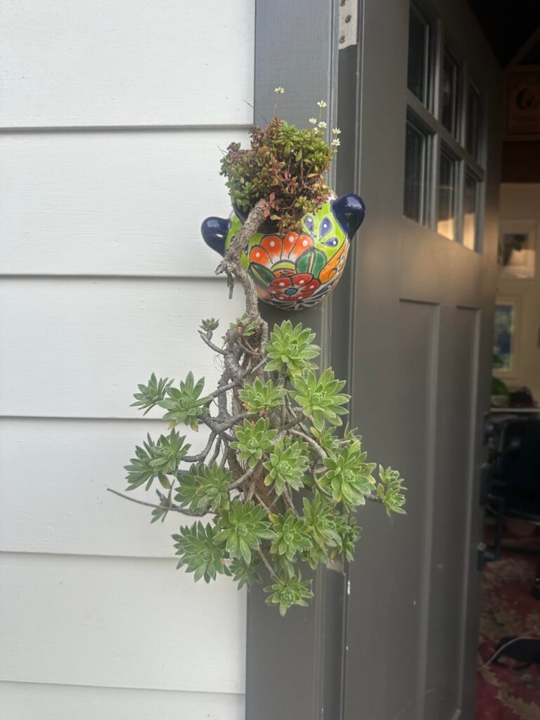 It’s been hanging around for almost twenty years