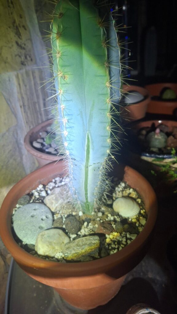 Heavy rains caused some poppin'