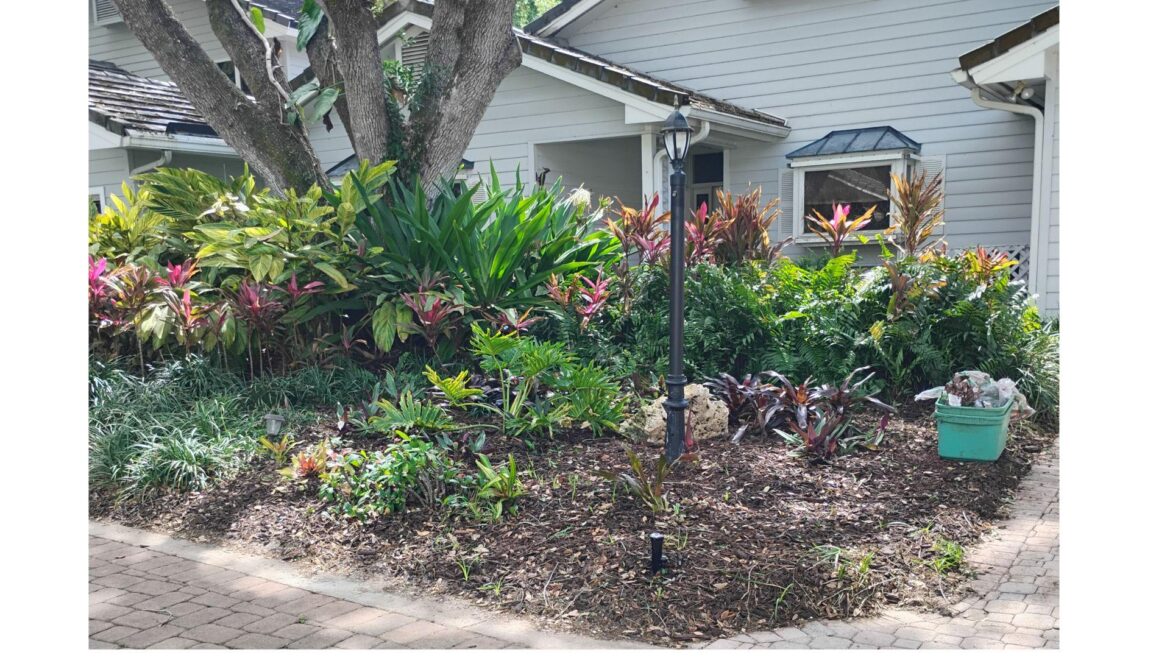 Need Landscaping Advice Need Landscaping Advice