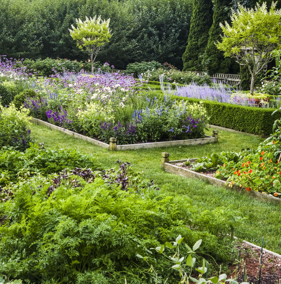 A vibrant garden with diverse flower beds and vegetable patches. A vibrant garden with diverse flower beds and vegetable patches.
