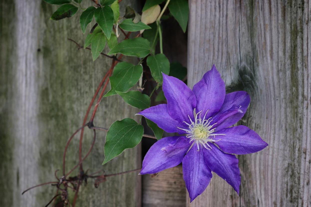 Credit: Getty Images / Katrin Ray Shumakov