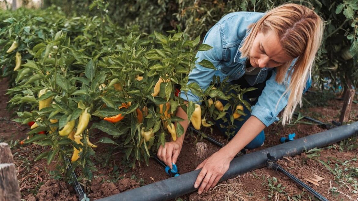 Half the Water You’re Using on Your Garden Is Going to Waste — Here’s How to Stop It