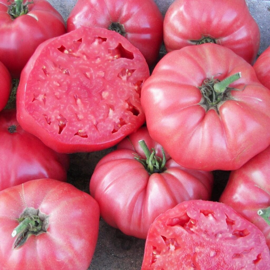 What's your favorite full size and cherry size tomatoes?