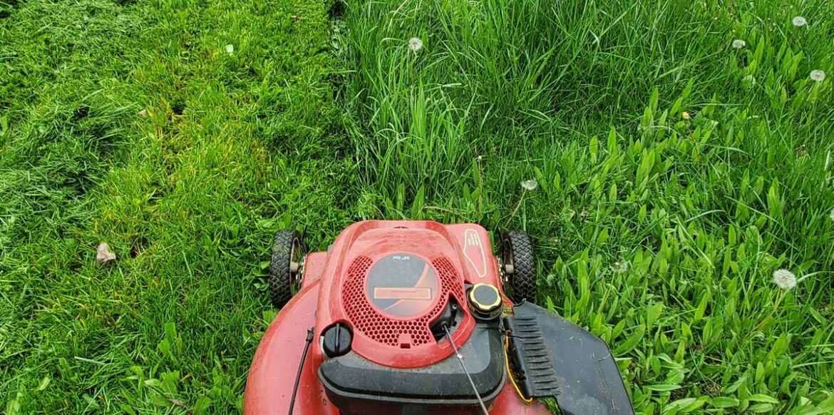When You Should Mow Your Lawn to Avoid Annoying Neighbours When You Should Mow Your Lawn to Avoid Annoying Neighbours