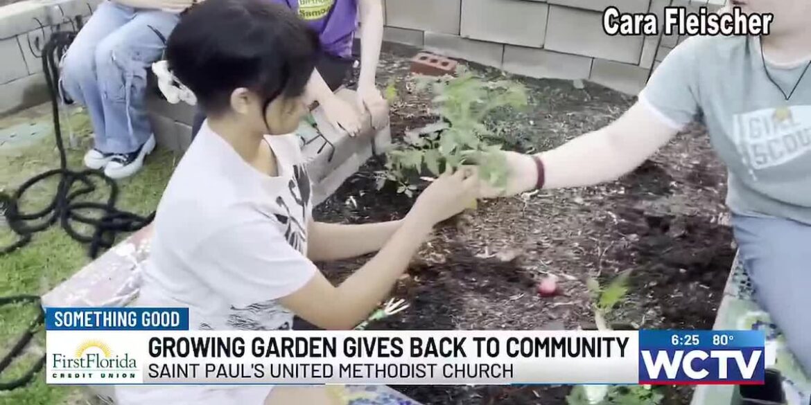 Growing Garden at Saint Paul’s United Methodist Church gives back to community
