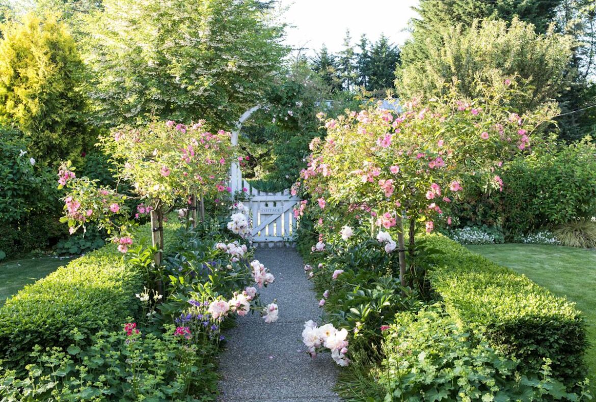 10 Cottage Garden Ideas for Creating a Lush, Romantic Landscape at Home