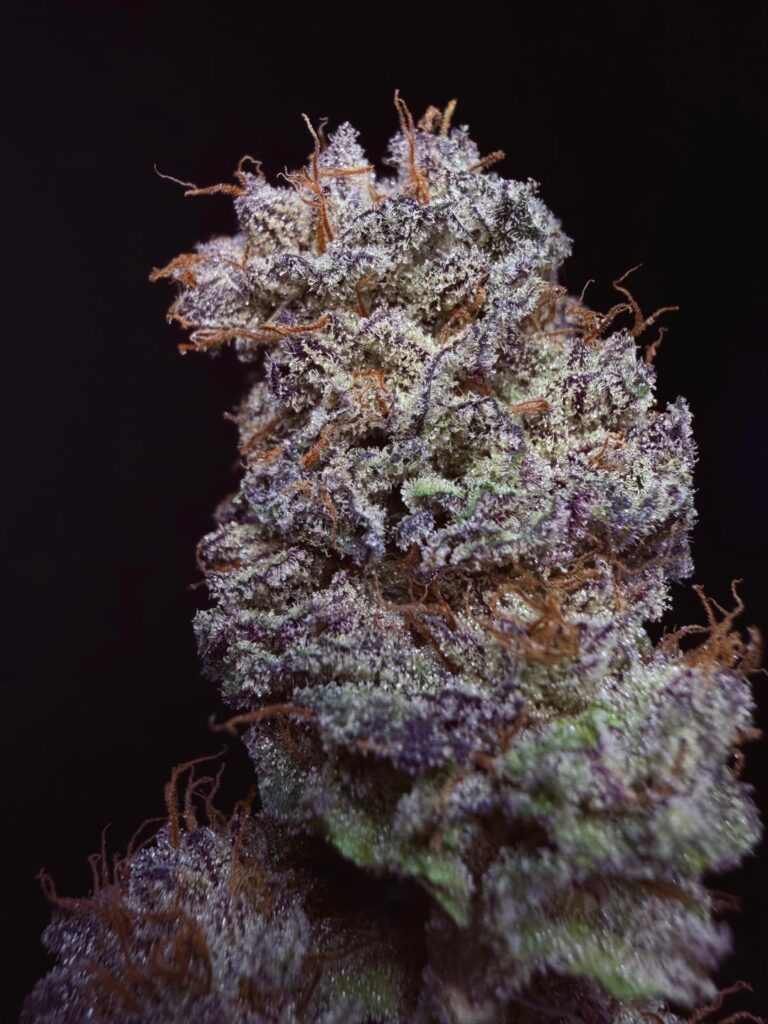 Grape Balls of Fire RBx — sleeper jar