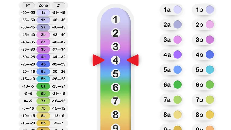 Plant hardiness example chart showing zones and temperatures
