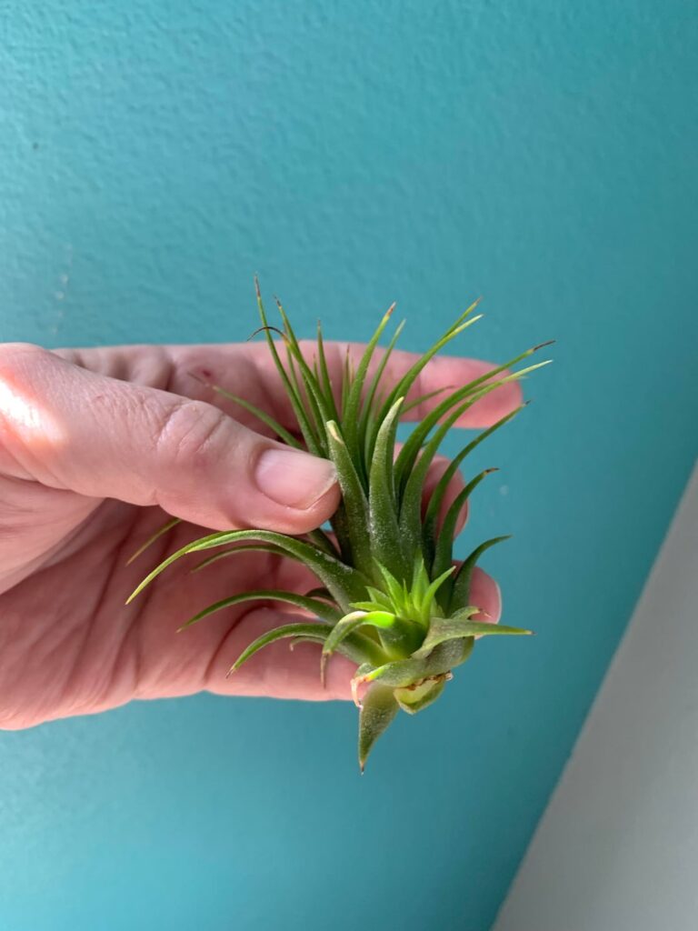 My late bloomer, had a baby……