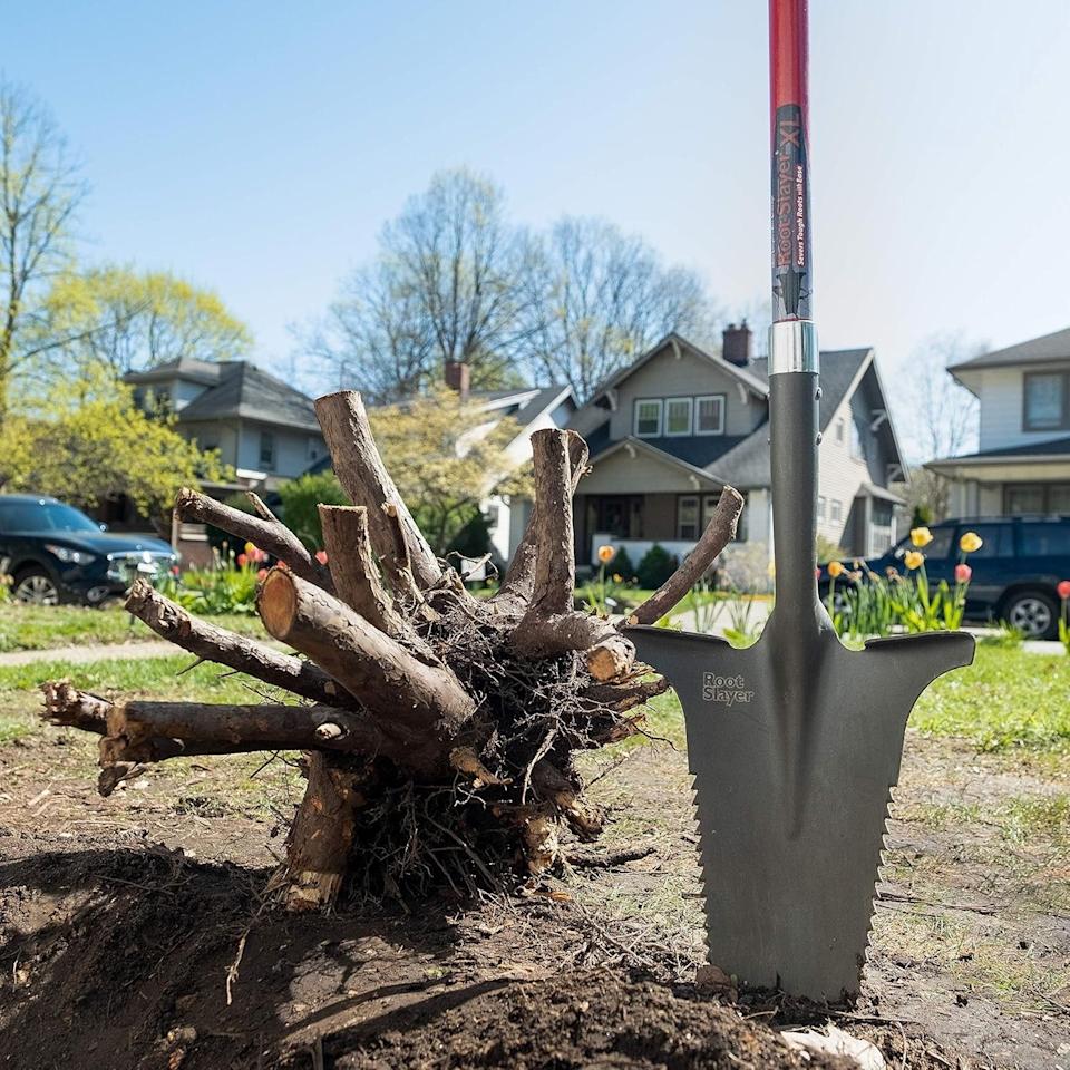 Amazon Has the Gardening Tools You Need for Spring