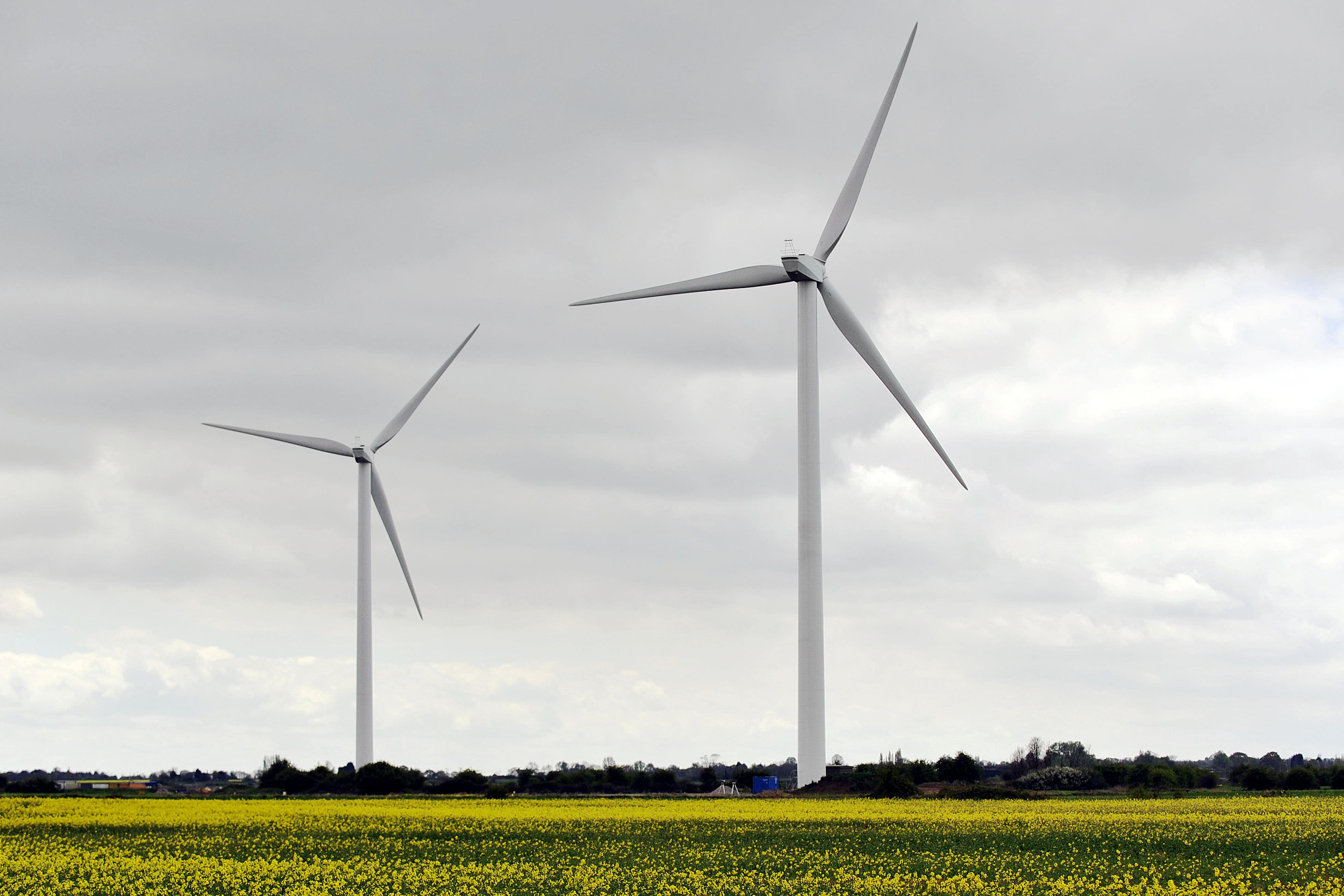 Energy Minister Michael Shanks said the move would give businesses, schools and farmers ‘the tools to lower their bills and make the best use of their land’, as the Government continues to push clean energy in response to the current global energy crisis caused by the US-Israeli war on Iran