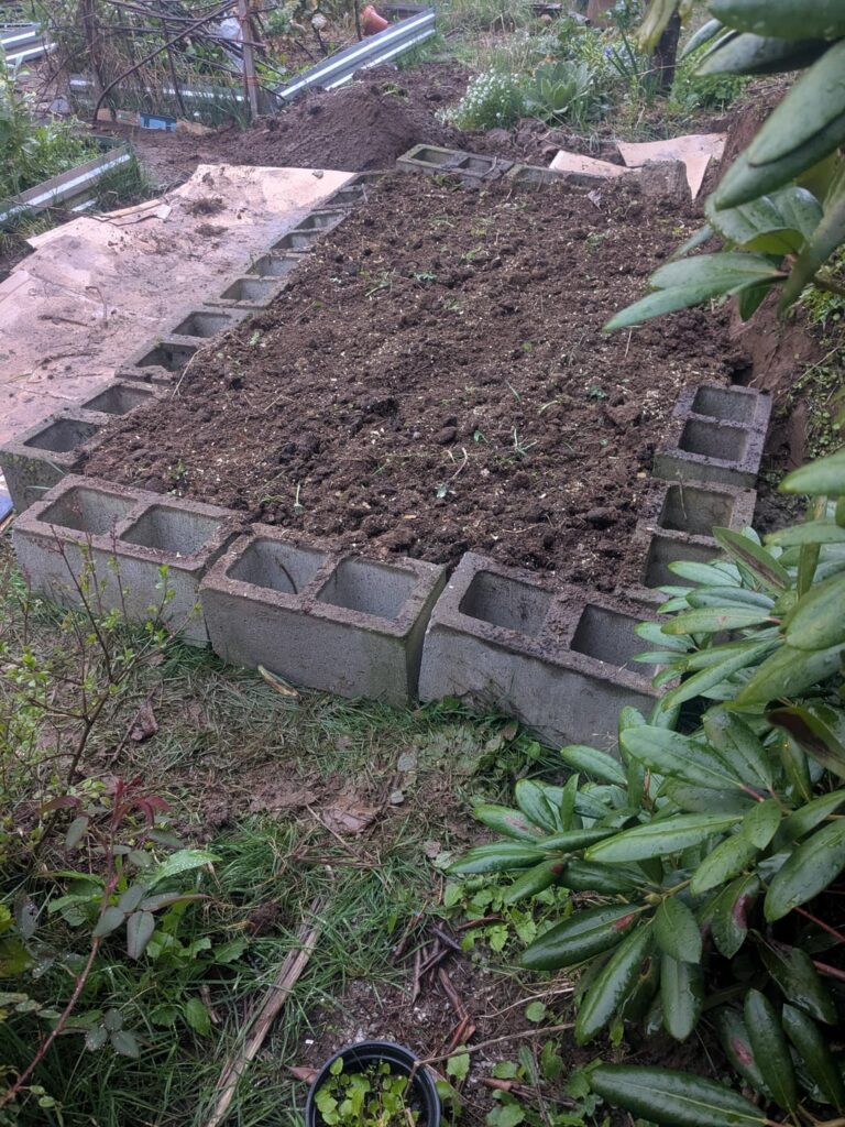 Productive Afternoon – New Asparagus Bed Productive Afternoon - New Asparagus Bed