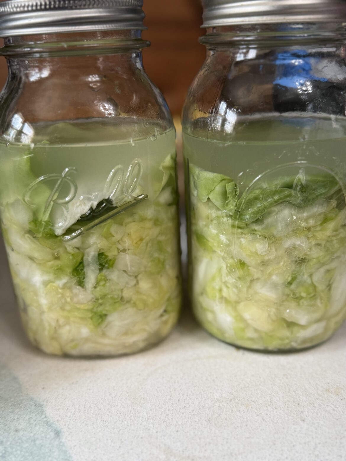My first sauerkraut 😬