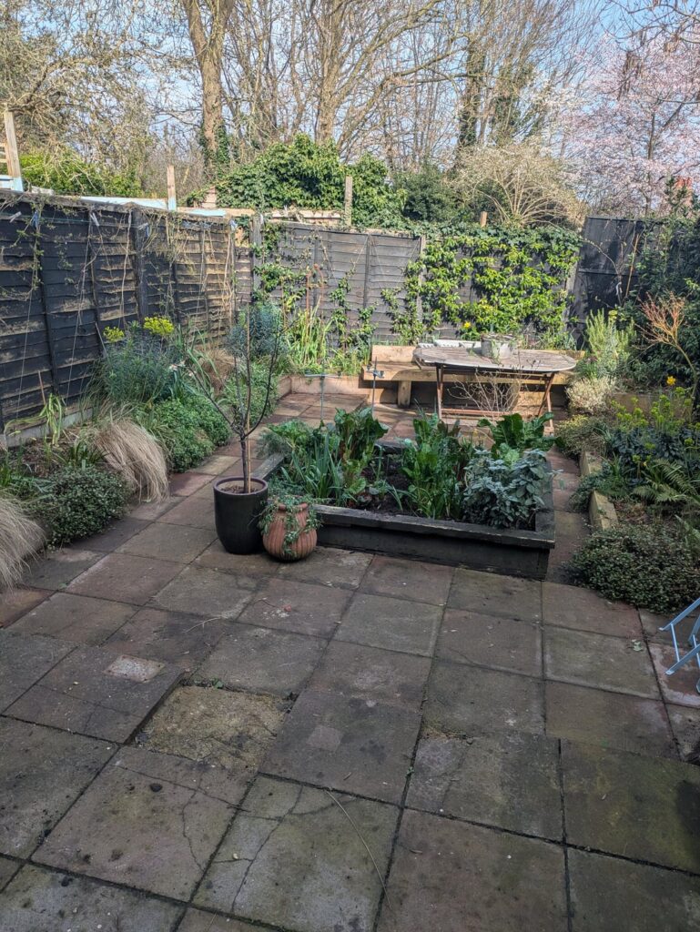 Garden paving help!