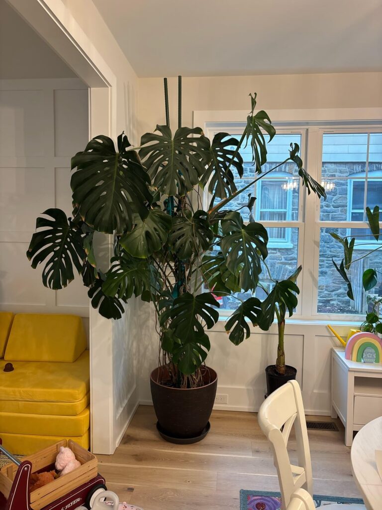 Advice please Advice please