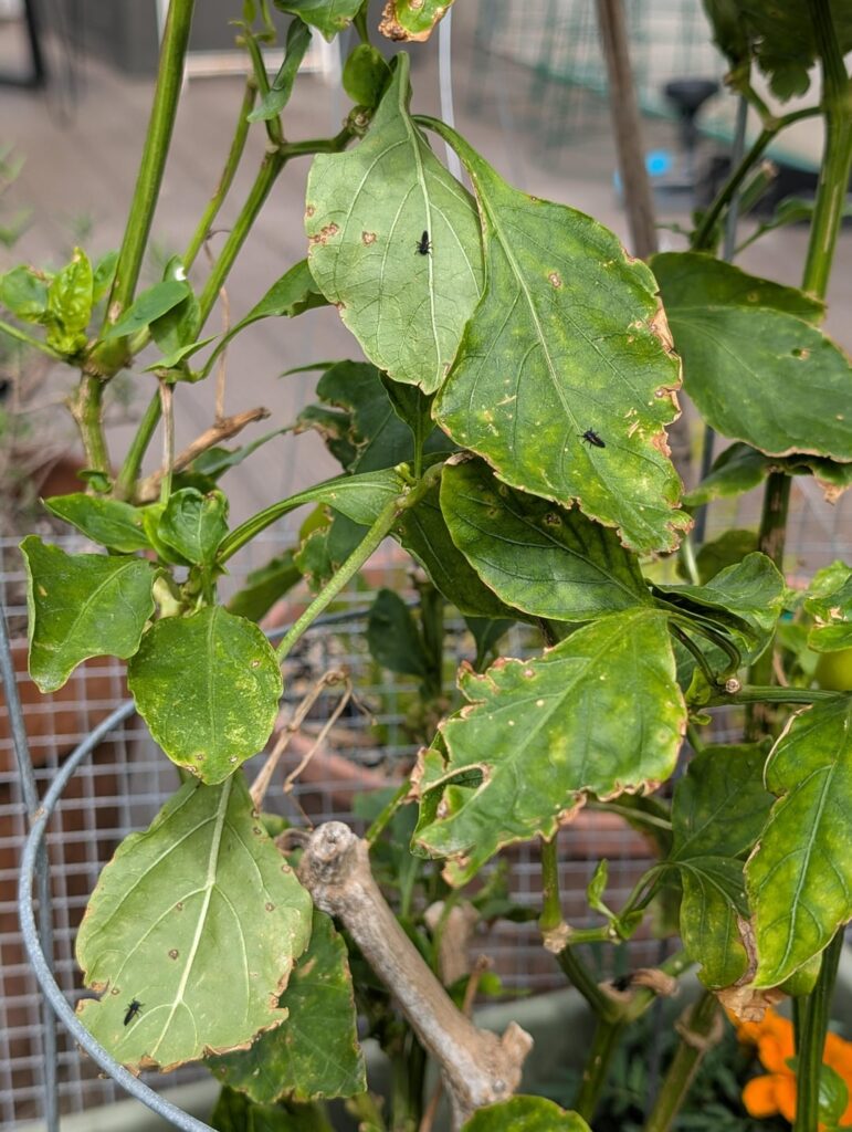 Glad to see these guys already at work 😀