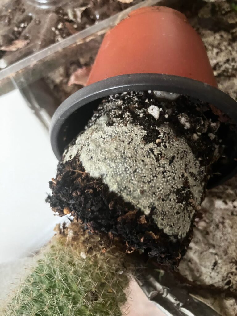 What is this?