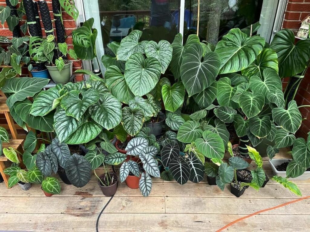 Pruning season is here