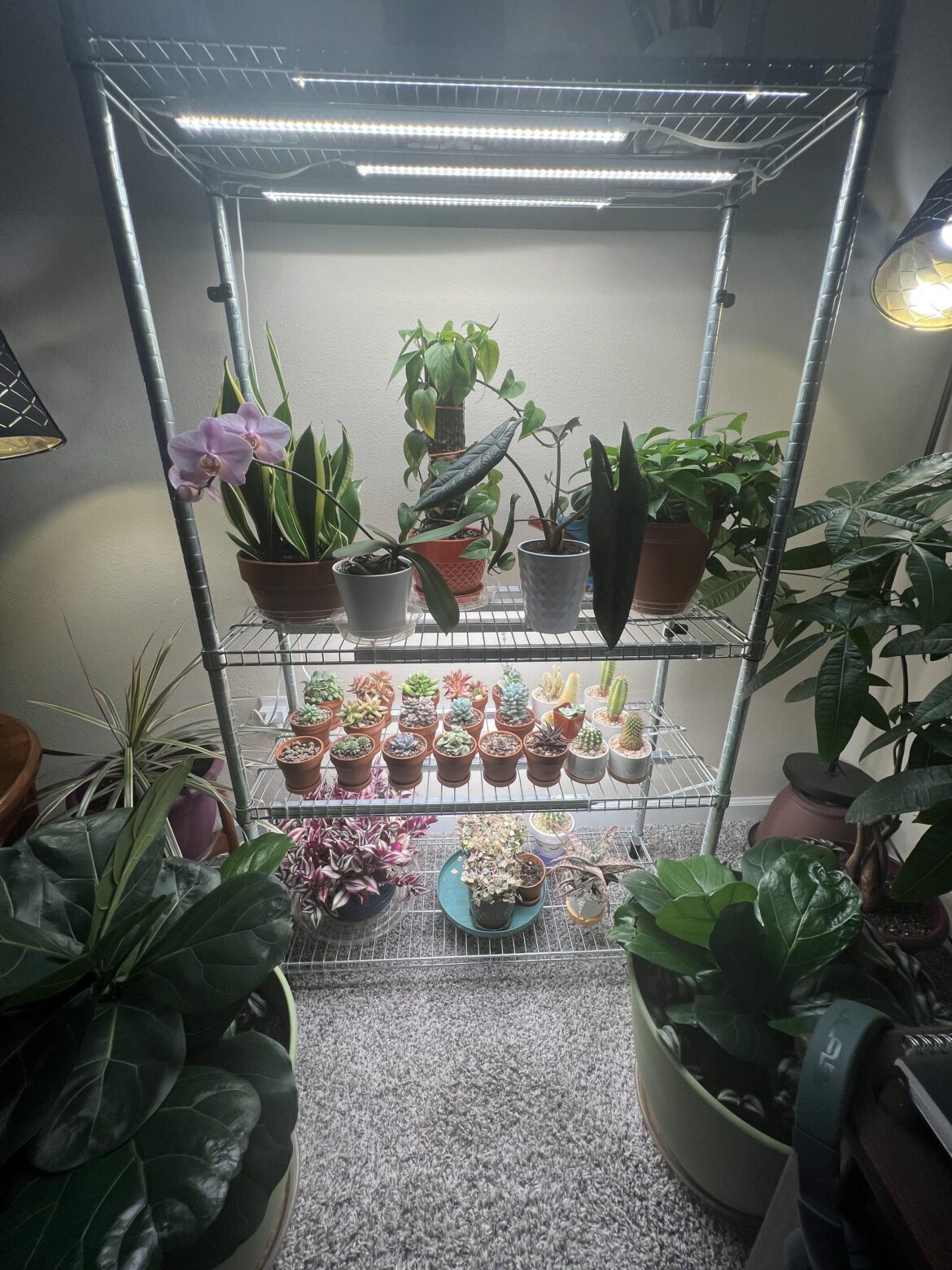 For your consideration