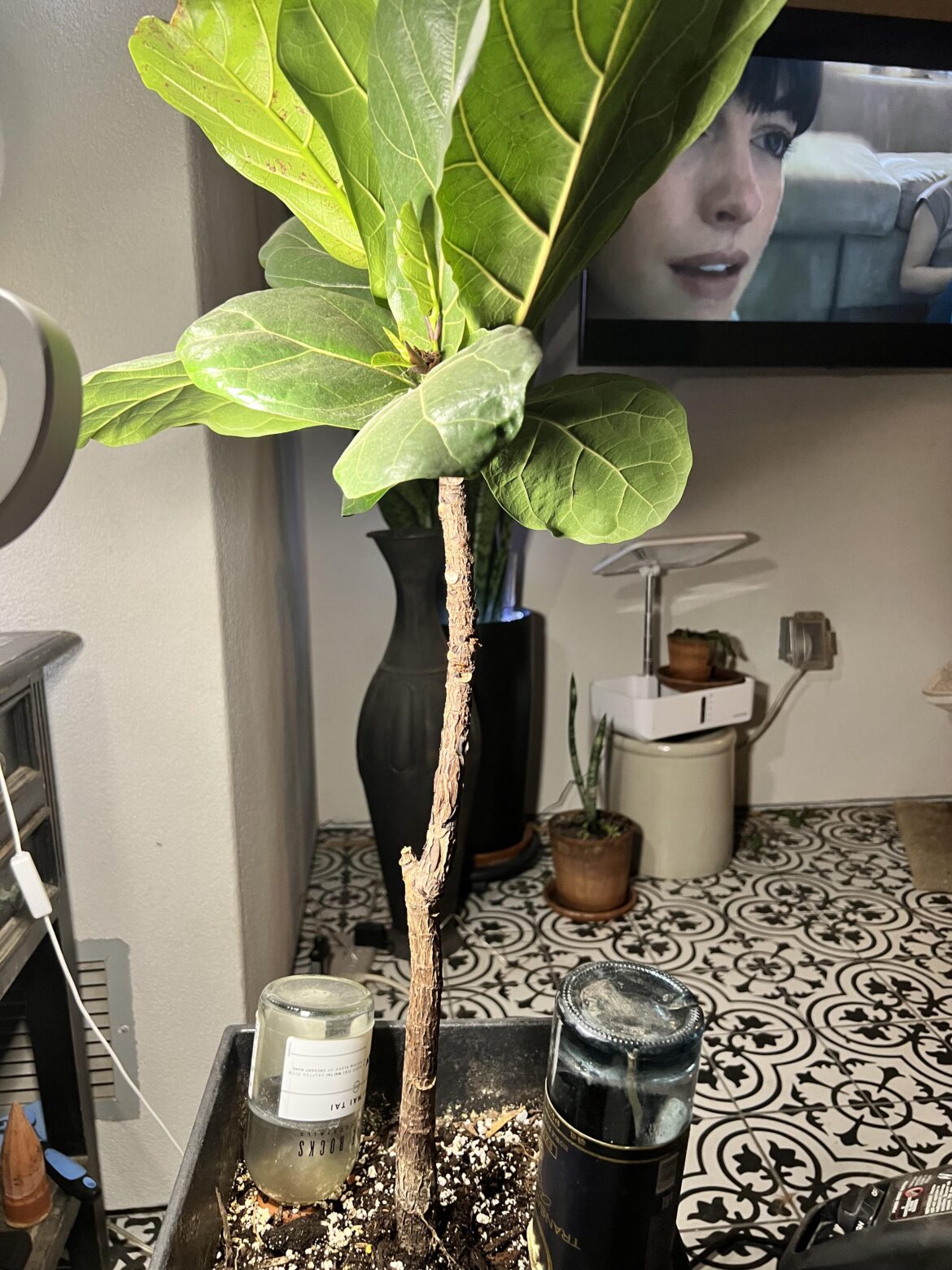 Help! How to get green on the trunk?