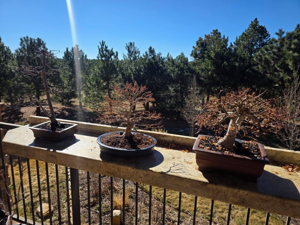 Out of the garage and on the porch for spring Out of the garage and on the porch for spring