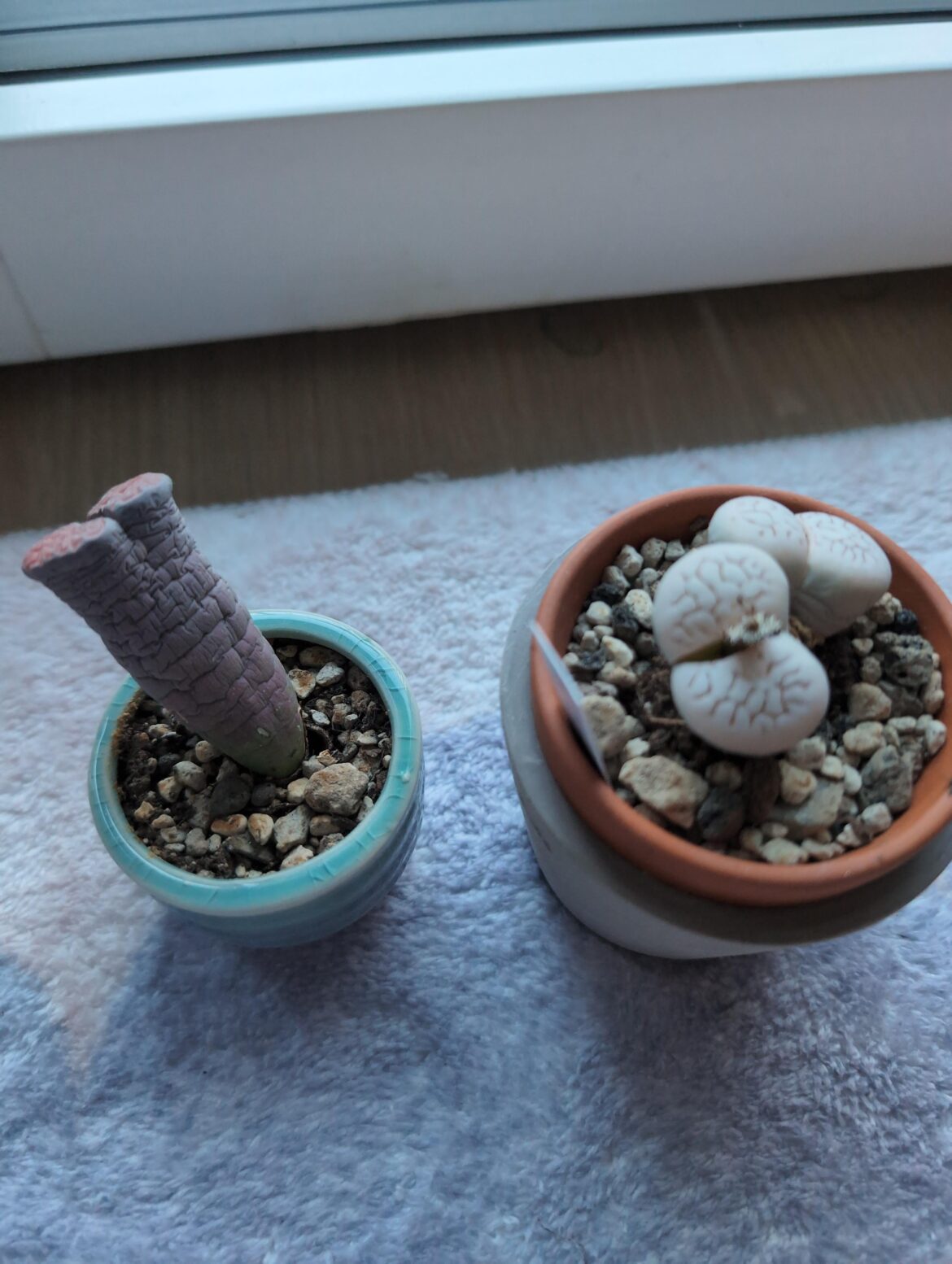 what to do now what to do now