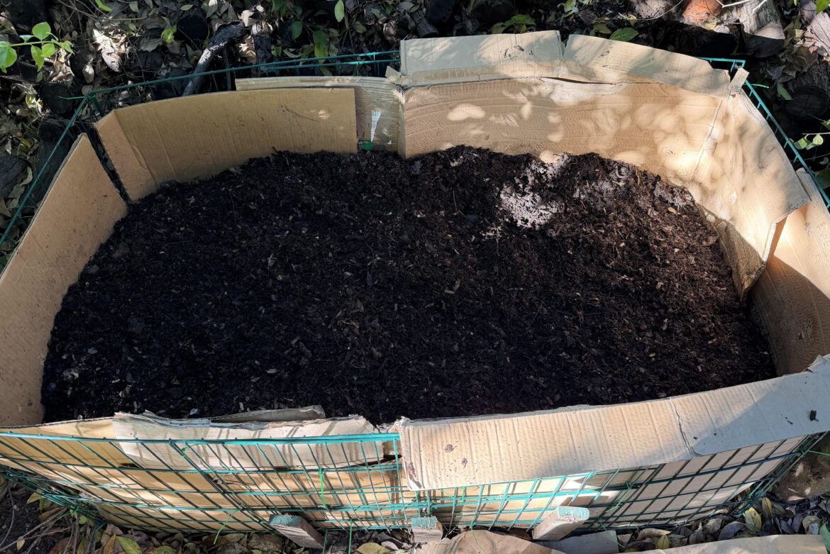 2.5 Month Compost