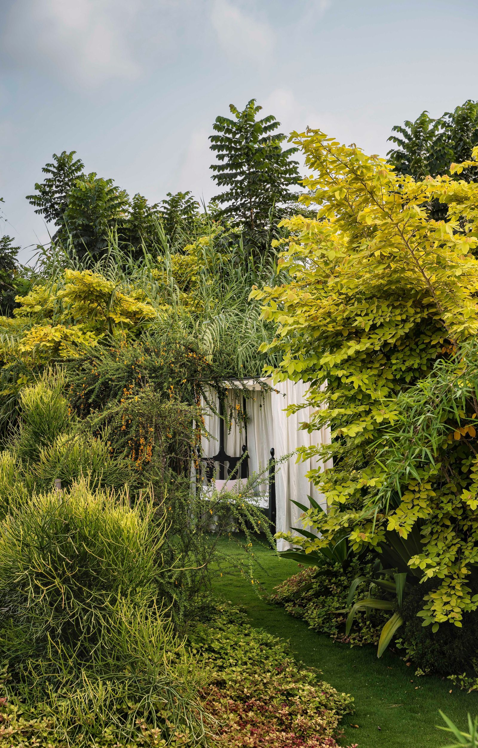 Image may contain Plant Vegetation Architecture Building Outdoors Shelter Garden Nature Grass and Indoors