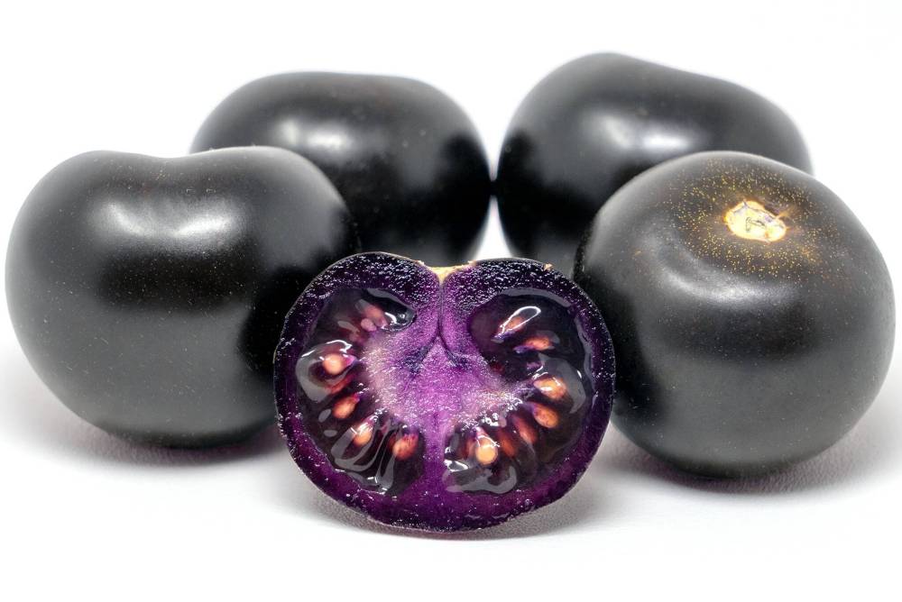 Norfolk Healthy Produce photo
The genetically modified seeds of the Purple Tomato are the first GM seeds to be marketed to home gardeners in Canada.