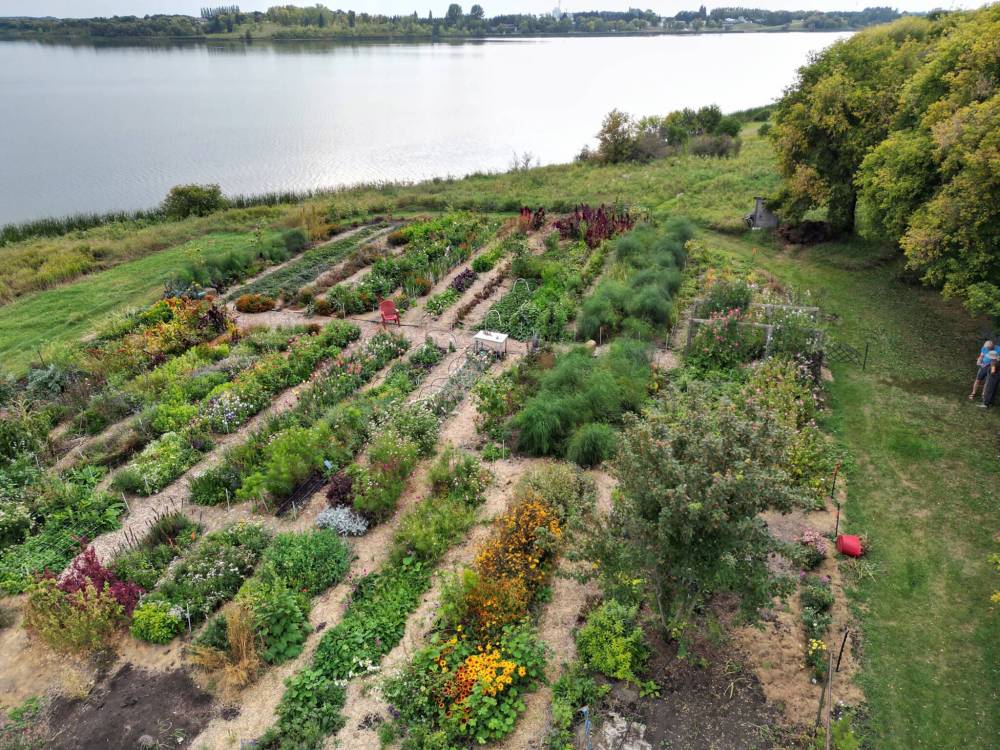 Glenda MacPhee photo
Gardenview Farm is a seed-grown flower operation located in Neepawa.