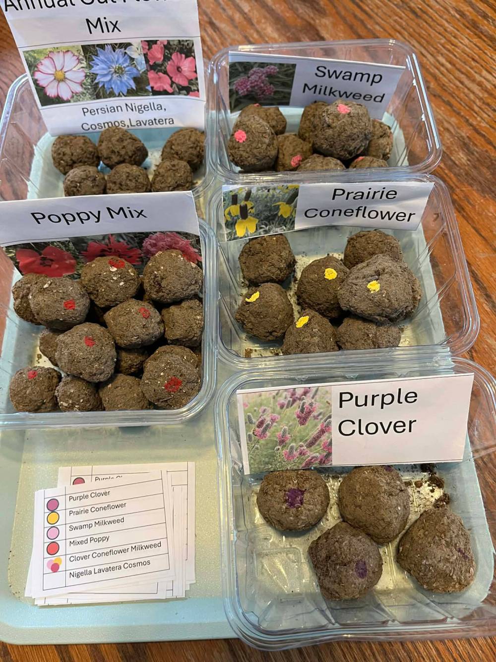 Glenda MacPhee photo
Seed bombs can be placed directly on snow or stored in your fridge for a later date.