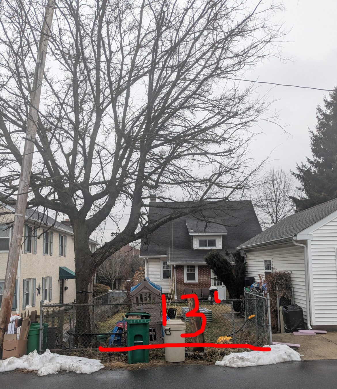 Would adding a new parking spot kill this tree?