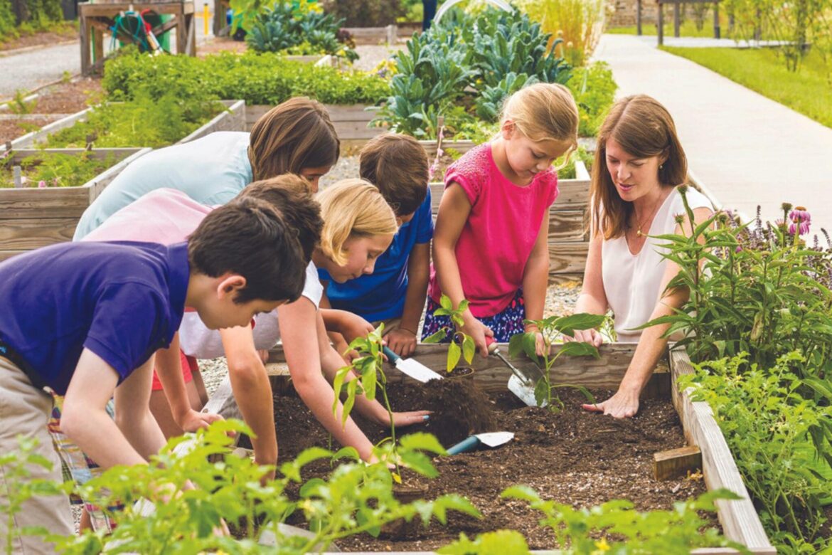 Summer youth gardening program registration open now Summer youth gardening program registration open now