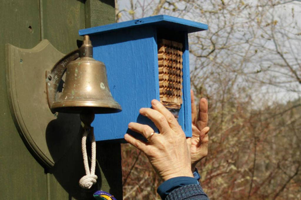 Talk on mason bees has Sooke Garden Club buzzing with activity The next Sooke Garden Club meeting will offer tips on providing a home for mason bees. (Black Press Media file photo)