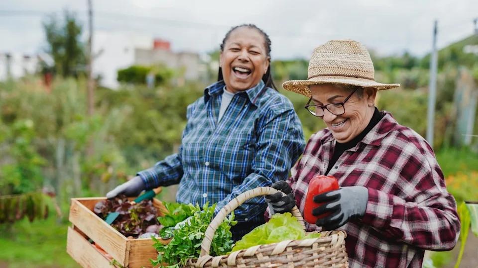 Two women gardening together