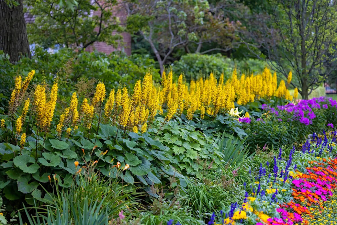 Got a Shady Garden? These 15 Perennials Thrive in It Got a Shady Garden? These 15 Perennials Thrive in It