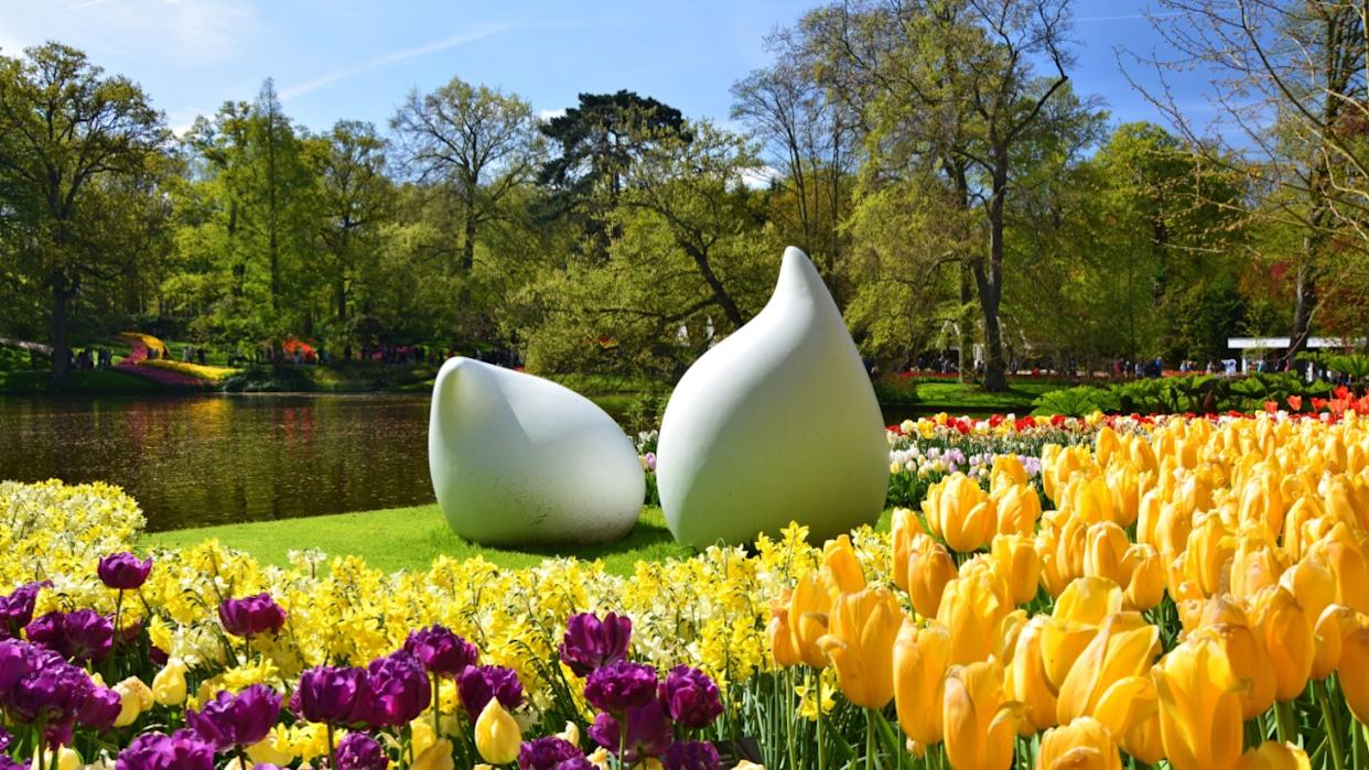 Keukenhof garden famous scenic landscape of blooming spring flowers by the pond. Colorful tulip flowers arrangment. Beautiful ornamental garden landscape at Lisse, Netherlands.