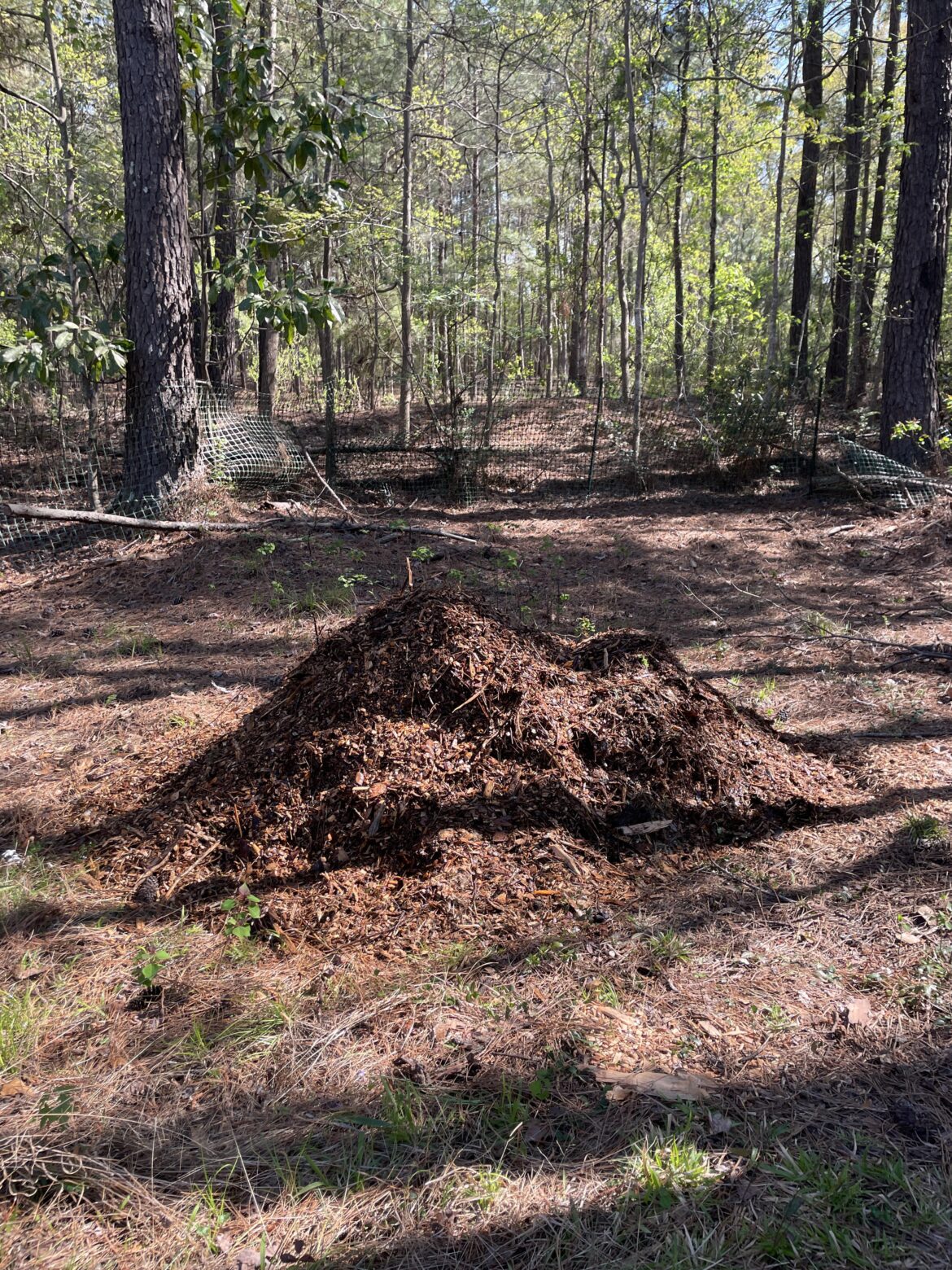Compost dimensions