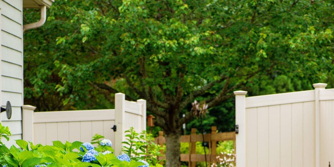 How to Grow Hydrangeas—and Why the Type You Choose Matters How to Grow Hydrangeas—and Why the Type You Choose Matters
