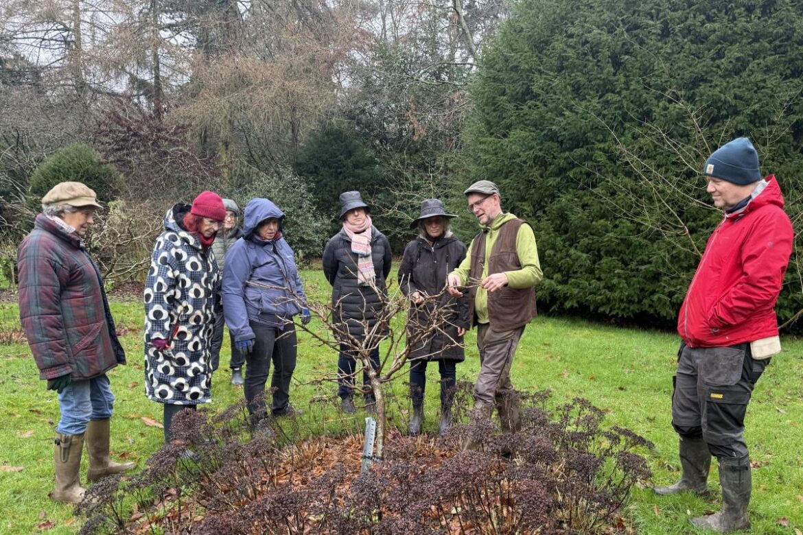 Waiting to see if tough love in the garden pays off this year