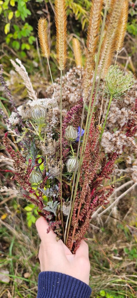 Reminiscing these wild bouquets from last fall