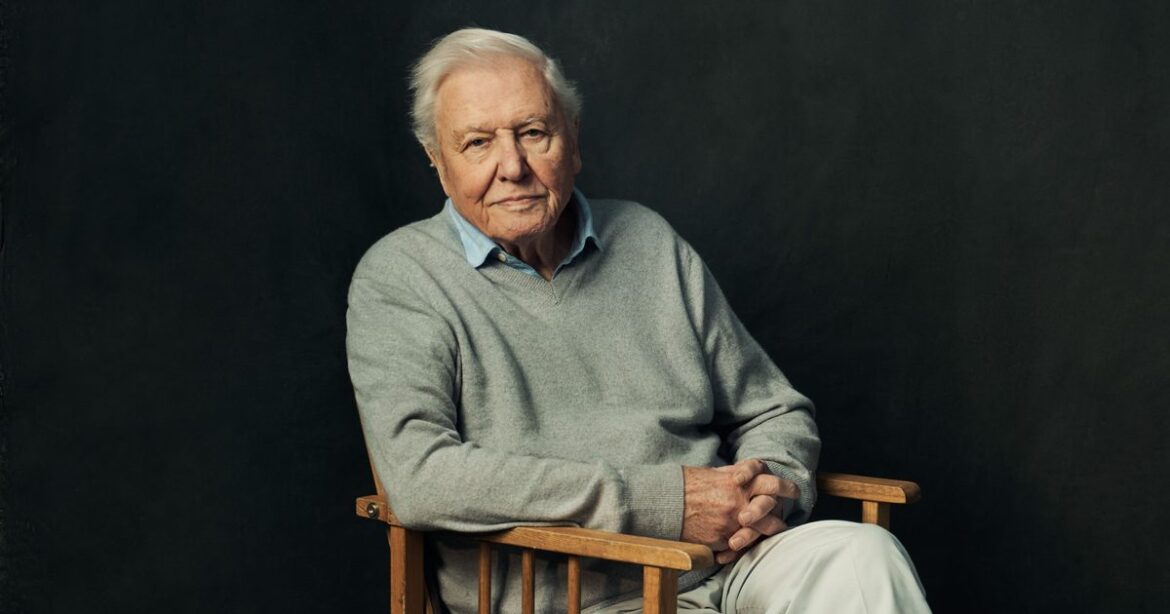 New David Attenborough series Secret Garden confirms release date