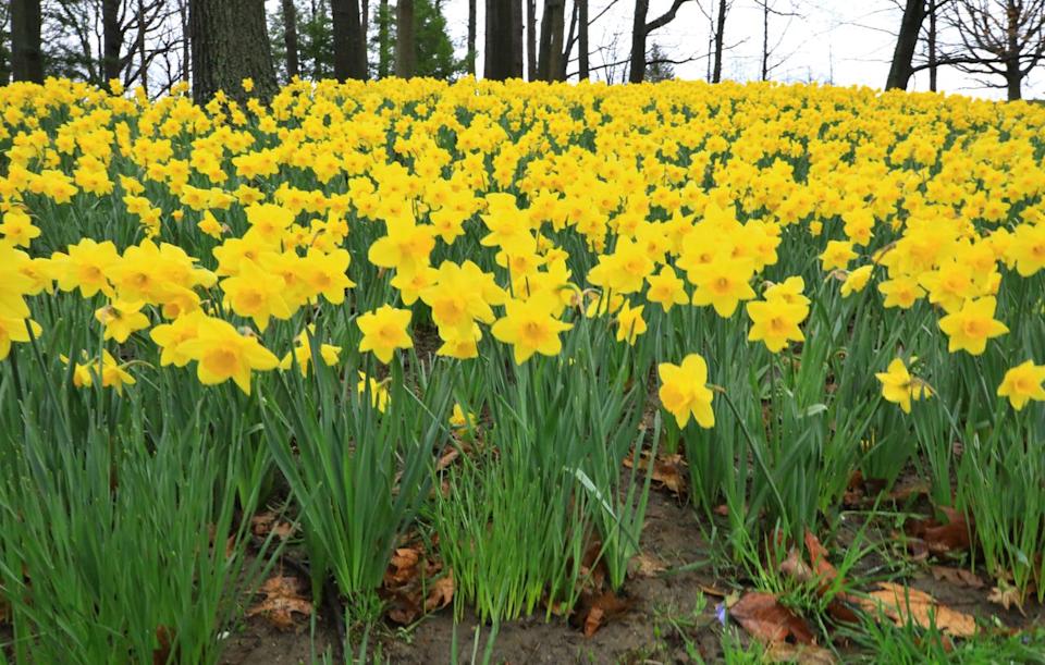 Credit: Getty Images