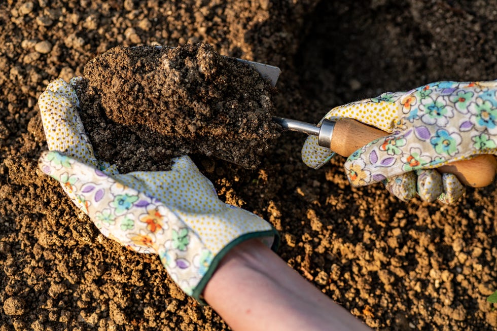 Gardener planting flowers in her flowerbed. Gardening concept. Soil digging. Hand close up. Gardener planting flowers in her flowerbed. Gardening concept. Soil digging. Hand close up.