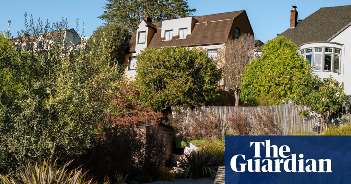 Can culling your garden slow a wildfire? A California city pins its hopes on a contested plan | California Can culling your garden slow a wildfire? A California city pins its hopes on a contested plan | California